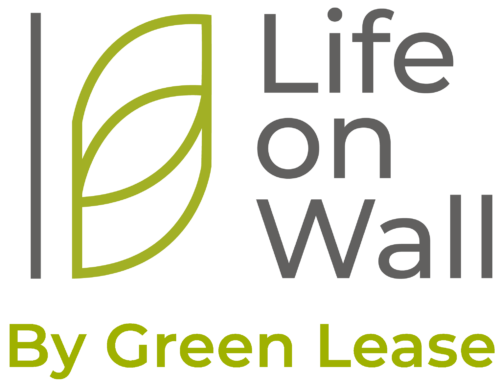 Life On Walls